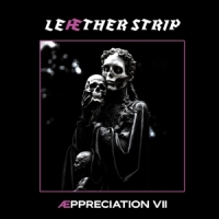 Leaether Strip Aeppreciation Vii