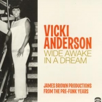 Anderson, Vicki Wide Awake In A Dream