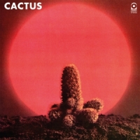 Cactus Cactus -coloured-