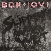 Bon Jovi Slippery When Wet -deluxe 2cd-