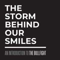 Bullfight, The The Storm Behind Our Smiles - An In