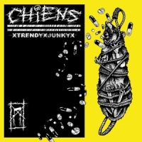 Chiens Trendy Junky (yellow)