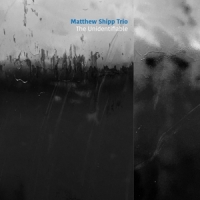 Shipp, Matthew -trio- Unidentifiable