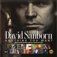 Sanborn, David Anything You Want: The Warner/reprise/elektra Years (19