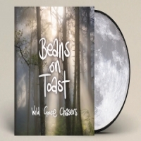 Beans On Toast Wild Goose Chasers -picture Disc-