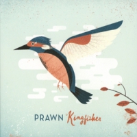 Prawn Kingfisher