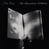 Foxx, John The Marvellous Notebook