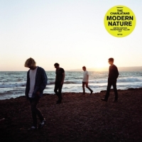 Charlatans, The Modern Nature