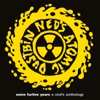 Some Furtive Years - A Ned's Anthology -coloured-